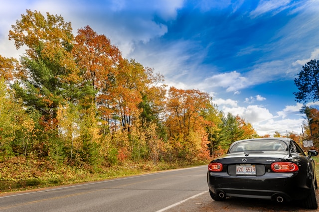 Average Car Insurance Costs by State: The Ultimate Guide